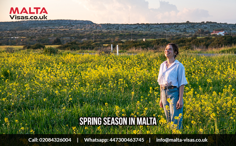 Best time to visit malta in spring season
